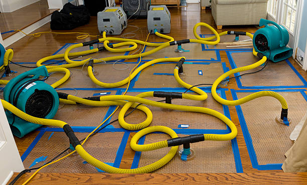 Professional Basement Flood Cleanup technician working in Jacksboro, TX